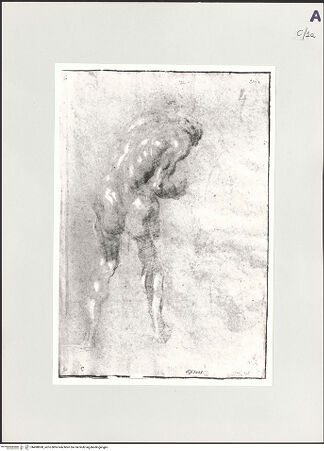 Vorderseite von bh498698_recto