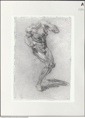 Vorderseite von bh498699_recto