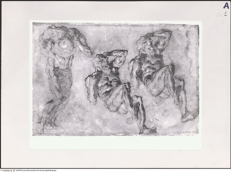 Vorderseite von bh498700_recto