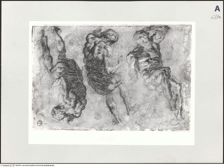 Vorderseite von bh498701_recto