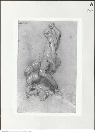 Vorderseite von bh498704_recto