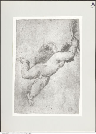 Vorderseite von bh498708_recto