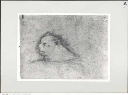 Vorderseite von bh498709_recto