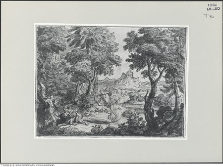 Vorderseite von bh498721_recto