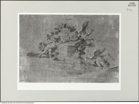 Vorderseite von bh498733_recto