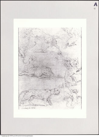 Vorderseite von Bibliotheca Hertziana [https://www.deutsche-digitale-bibliothek.de/content/lizenzen/rv-fz/] Entwürfe für eine Wanddekoration mit dem heiligen HieronymusDiverse Fabelwesen - , bh498795_recto. Foto.