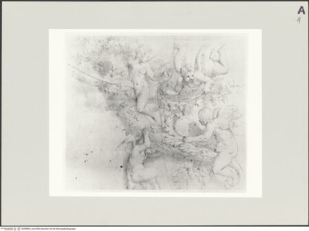 Vorderseite von Bibliotheca Hertziana [https://www.deutsche-digitale-bibliothek.de/content/lizenzen/rv-fz/] Vier Putti mit einem Füllhorn und Weinranken - , bh498802_recto. Foto.