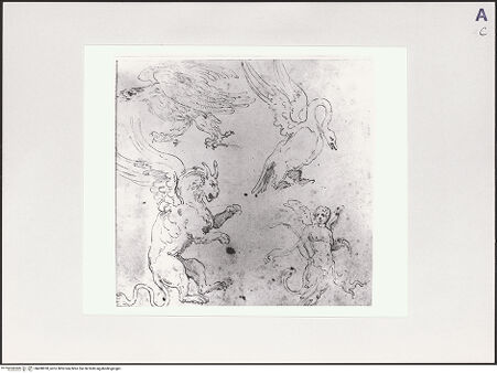 Vorderseite von Bibliotheca Hertziana [https://www.deutsche-digitale-bibliothek.de/content/lizenzen/rv-fz/] Skizzen von Tieren und Fabelwesen - , bh498928_recto. Fotokopie.