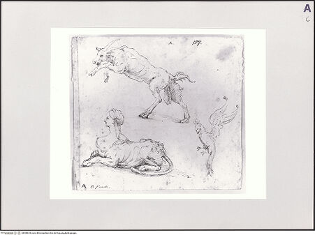 Vorderseite von Bibliotheca Hertziana [https://www.deutsche-digitale-bibliothek.de/content/lizenzen/rv-fz/] Skizzen von Tieren und FabelwesenSkizzen von Tieren und Fabelwesen - , bh498929_recto. Foto.