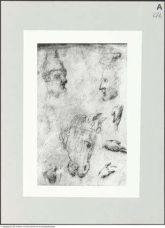 Vorderseite von Bibliotheca Hertziana [https://www.deutsche-digitale-bibliothek.de/content/lizenzen/rv-fz/] Skizze von Köpfen, Händen und einem Pferdekopf - , bh498933_recto. Foto.