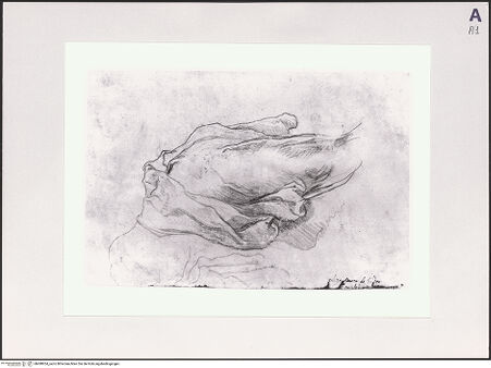 Vorderseite von Bibliotheca Hertziana [https://www.deutsche-digitale-bibliothek.de/content/lizenzen/rv-fz/] Skizze für Maria unter dem Kreuz für das Altarbild der Matteikapelle in Santa Maria della Consolazione in RomGewandstudie für eine Figur der Fußwaschung des Gewölbefreskos der Matteikapelle in Santa Maria della Consolazione in Rom - , bh498934_recto. Foto.