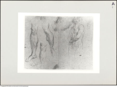 Vorderseite von Bibliotheca Hertziana [https://www.deutsche-digitale-bibliothek.de/content/lizenzen/rv-fz/] Studien für Aeneas auf der Flucht von Troia - , bh498946_recto. Foto.