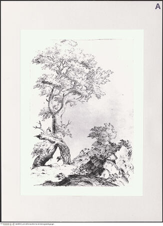 Vorderseite von Bibliotheca Hertziana [https://www.deutsche-digitale-bibliothek.de/content/lizenzen/rv-fz/] Baum bei einem Felsen - , bh498952_recto. Foto.