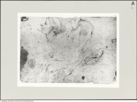 Vorderseite von bh498968_recto