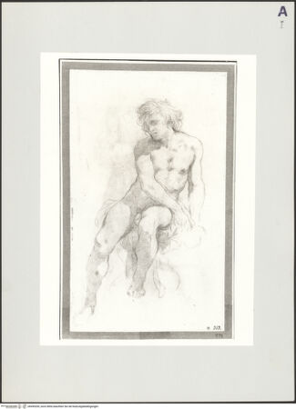 Vorderseite von bh499205_recto