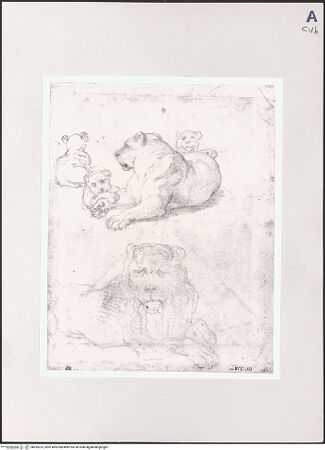 Vorderseite von bh499223_recto