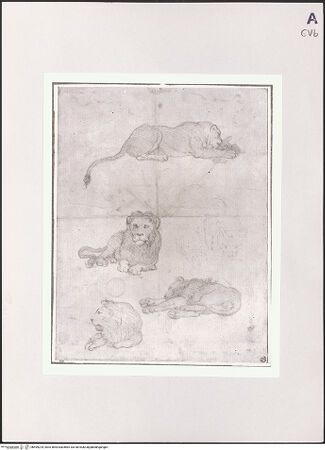 Vorderseite von bh499224_recto