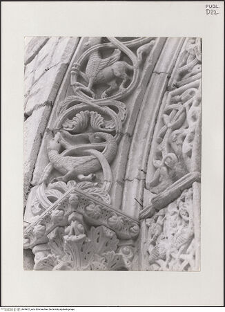 Vorderseite von unbekannt [https://www.deutsche-digitale-bibliothek.de/content/lizenzen/rv-fz/] HauptportalArchivolten mit Tieren und fantastischen Kreaturen - Linke Seite, Detail, bh499423_recto. Foto.