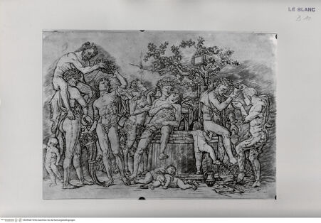 Vorderseite von ICCD [http://creativecommons.org/publicdomain/mark/1.0/] Bacchanal - , bh499487. Foto.