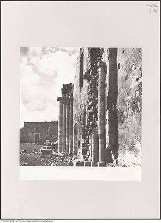 Vorderseite von Hutzel, Max [https://www.deutsche-digitale-bibliothek.de/content/lizenzen/rv-fz/] San Nicola di Casole - Schrägansicht der Reste der rechten Flanke der Abteikirche (Nordwand), bh499488_recto. Foto: Hutzel, Max.