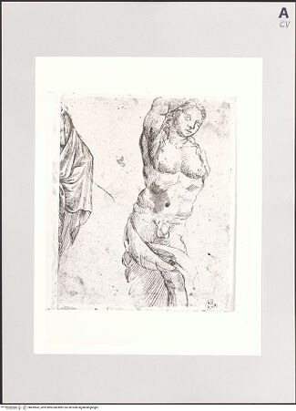 Vorderseite von bh499642_recto