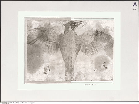 Vorderseite von bh499644_recto