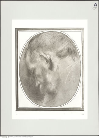 Vorderseite von bh499645_recto