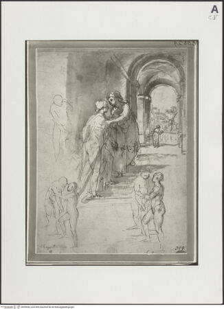 Vorderseite von bh499646_recto