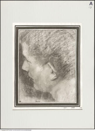 Vorderseite von bh499647_recto