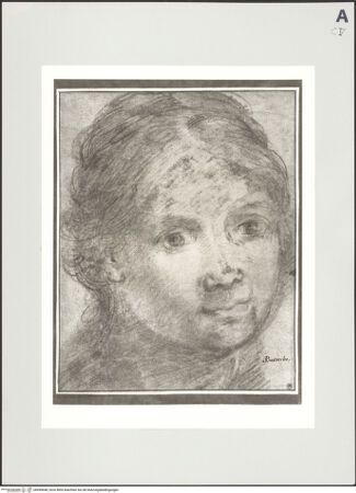 Vorderseite von bh499648_recto