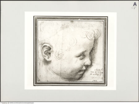 Vorderseite von bh499652_recto