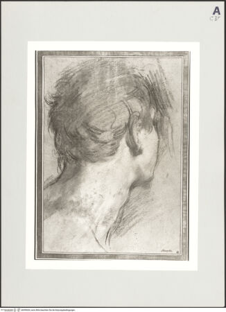 Vorderseite von bh499654_recto