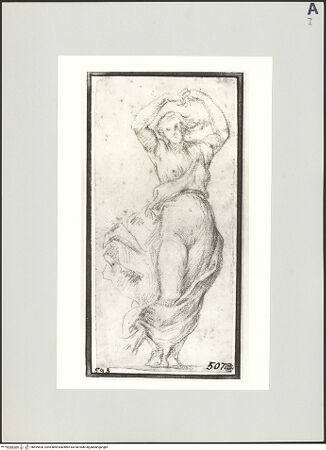 Vorderseite von bh499690_recto