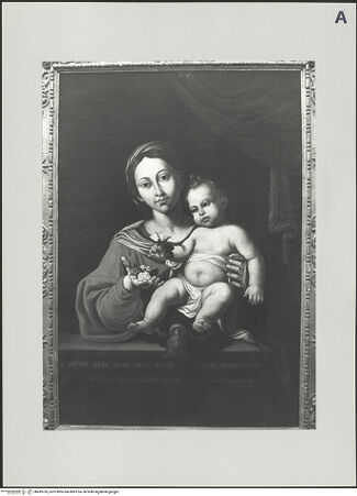 Vorderseite von bh499769_recto