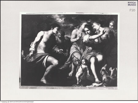 Vorderseite von bh499792_recto