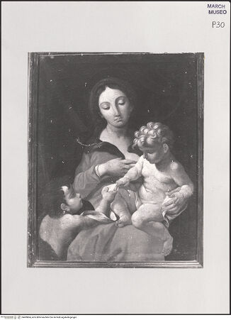 Vorderseite von bh499804_recto