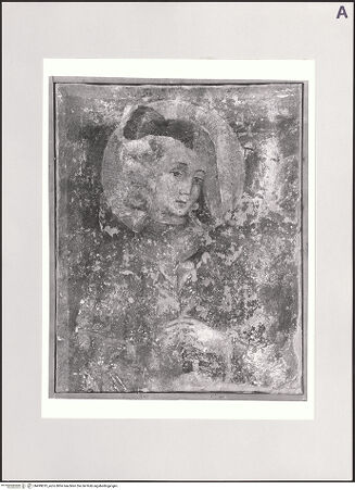 Vorderseite von bh499819_recto