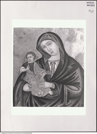 Vorderseite von bh499859_recto