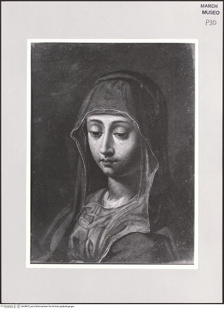 Vorderseite von bh499872_recto