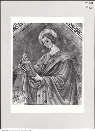 Vorderseite von bh499886_recto