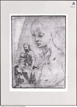 Vorderseite von bh500229_recto