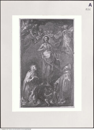 Vorderseite von bh500233_recto