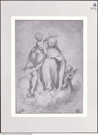 Vorderseite von bh500240_recto