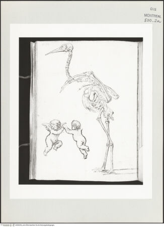 Vorderseite von Centre Canadien d'Architecture [https://www.deutsche-digitale-bibliothek.de/content/lizenzen/rv-ez/] Berrettini, Pietro, studi d'architettura e disegni originaliSkelett eines Straußen und zwei Putten - , bh500296_recto. Foto.