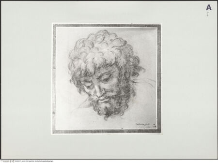 Vorderseite von bh500372_recto