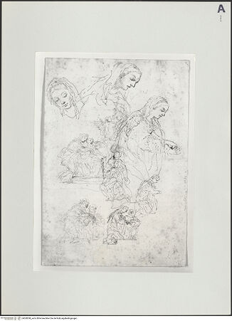 Vorderseite von bh500390_recto