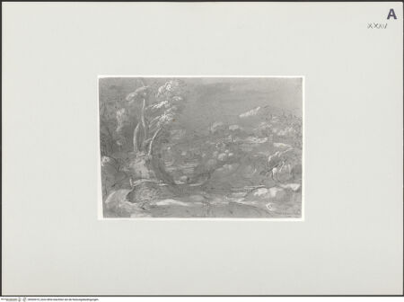 Vorderseite von bh500410_recto