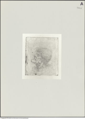 Vorderseite von bh500435_recto