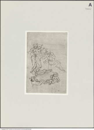 Vorderseite von bh500436_recto