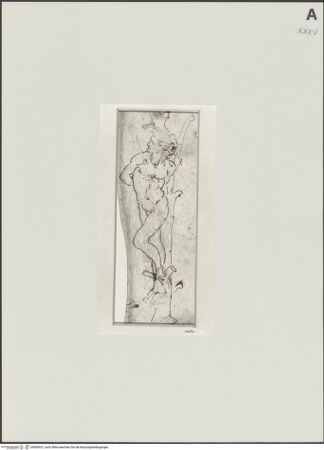 Vorderseite von bh500437_recto